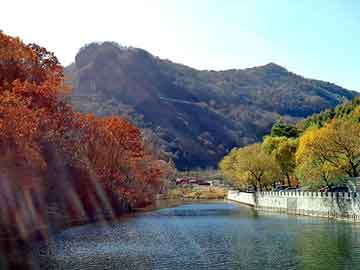 奥门天天开奖免费资料，力度控台